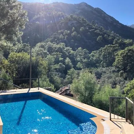 Olive Villa Villa *