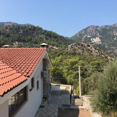 Olive Villa Villa