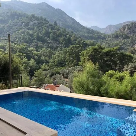 Olive Villa Villa *