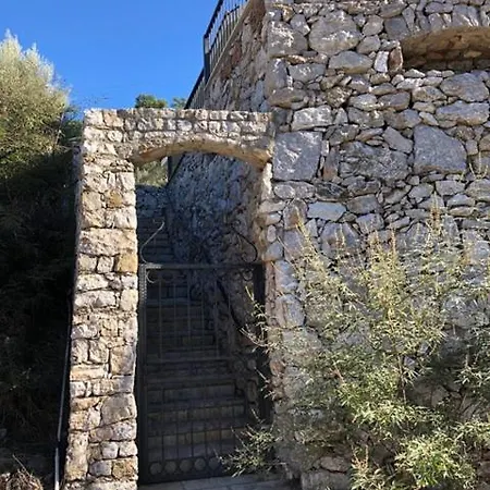 Olive Villa 빌라